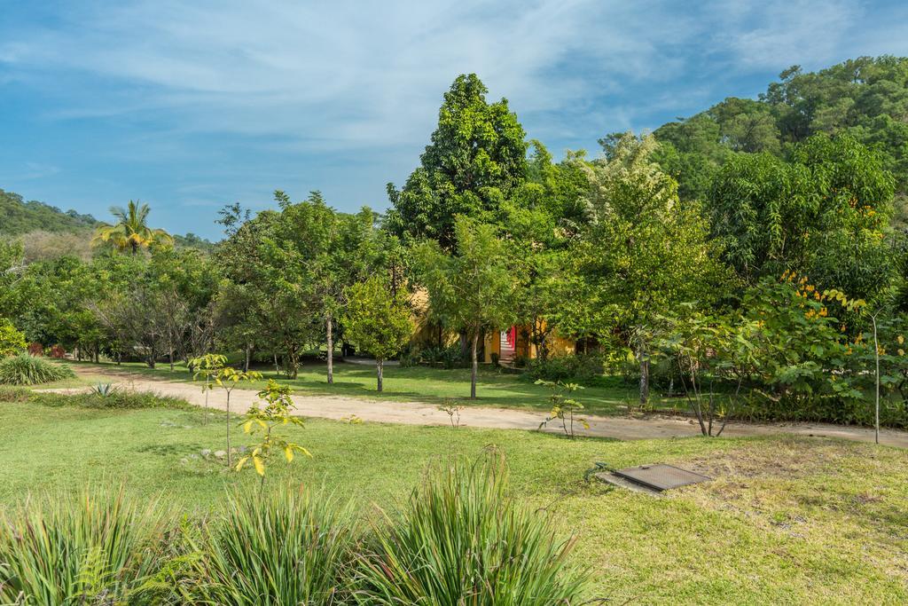 Villa Azalea Inn & Organic Farm JALISCO Esterno foto